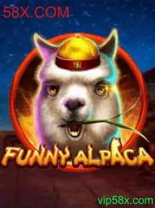 Descubra o Mundo Diversificado de FunnyAlpaca