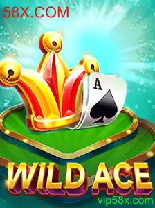 Descubra o Mundo Empolgante de WildAce no 58X.COM